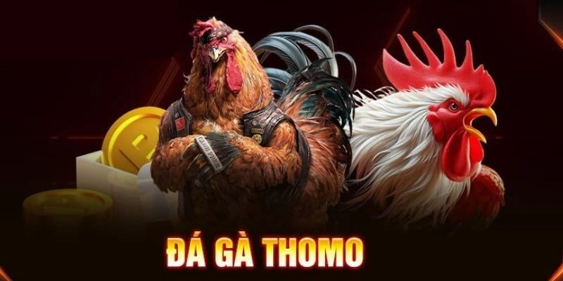 Top 5 Kinh Nghiệm Vàng Khi Chơi Đá Gà Thomo 99win